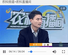 怎么保證長毛兔冬季的繁殖工作呢？