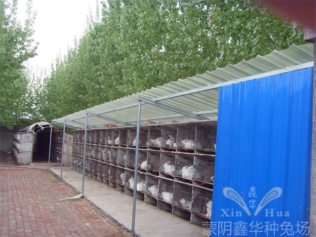 園區(qū)景觀(guān)