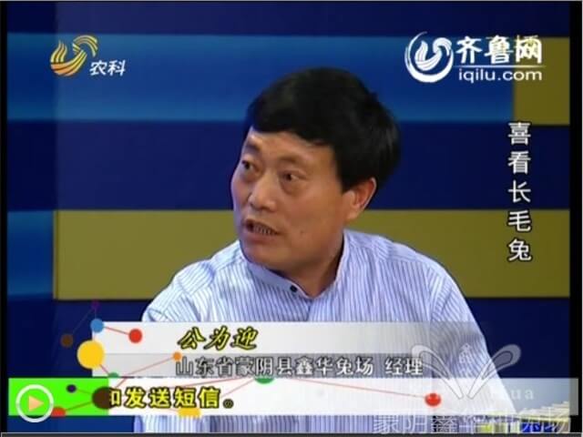 長(zhǎng)毛兔養(yǎng)殖