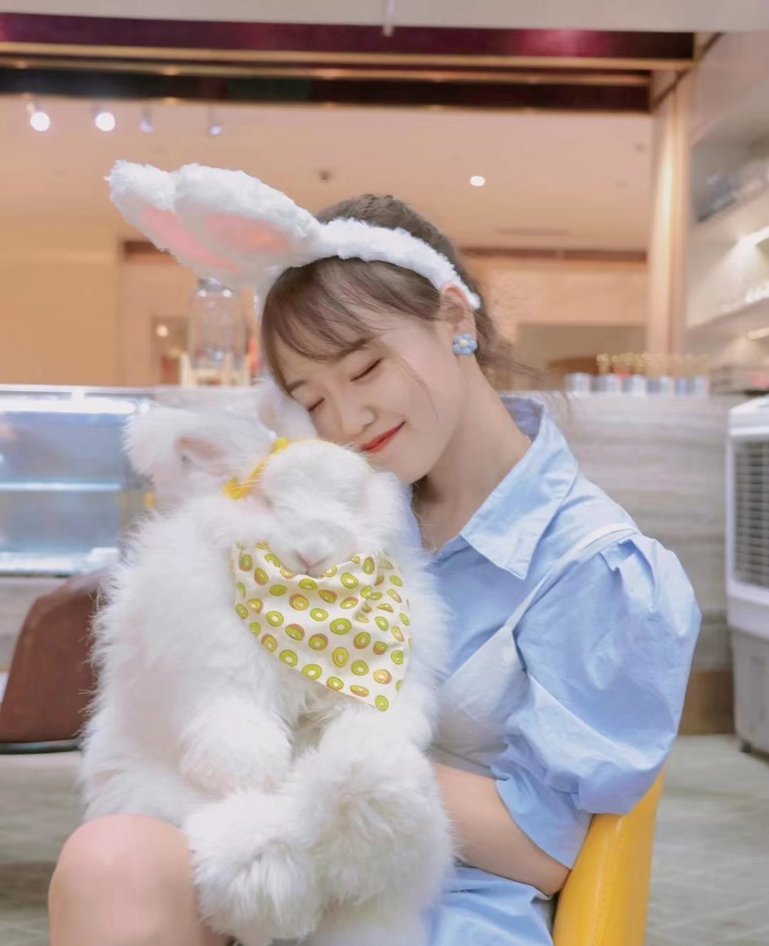 淺談長(zhǎng)毛兔飼養(yǎng)管理技術(shù)