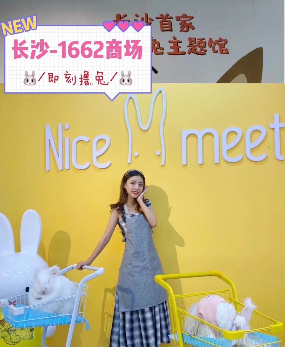 如何避免長毛兔品種退化？