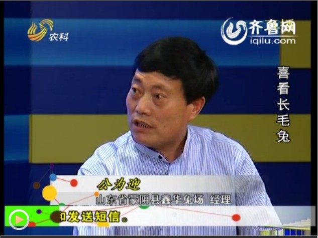 農(nóng)科直播間——喜看長毛兔